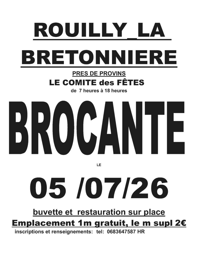 BROCANTE VIDE GRENIER / Rouilly